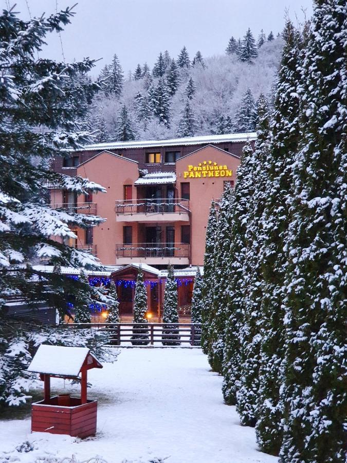 Pension Pantheon Poiana Brasov Bagian luar foto